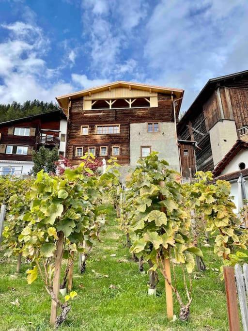 Swiss Chalet Near Flims Trin Екстериор снимка