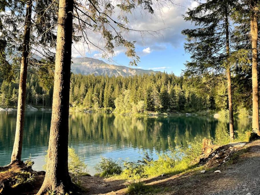 Swiss Chalet Near Flims Trin Екстериор снимка